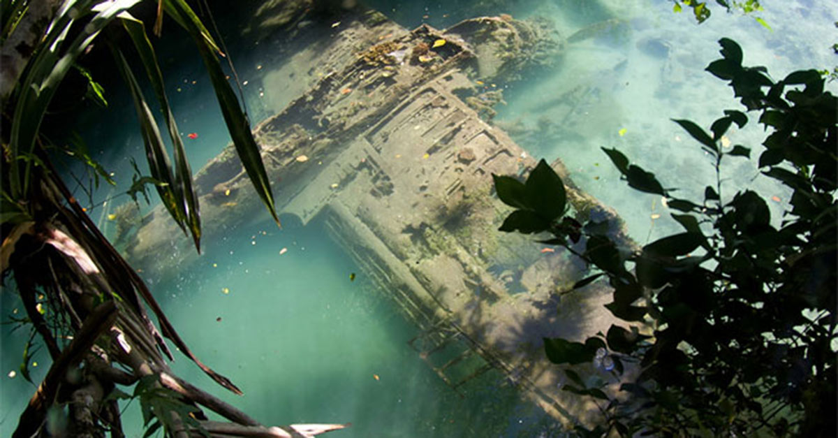 click for next image... slideshow image